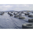 Etanch&eacute;it&eacute; de 2 casiers d'un CSDU &agrave; Penol (38)