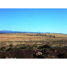 Travaux de biogaz sur un ISDN au Cannet-des-Maures (83)